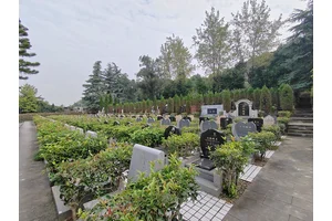 墓地维护费不交，一种不负责任的行为