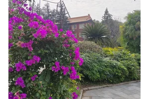 墓地维护费的组成及重要性