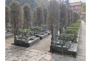 公墓销售网站，服务与创新的结合