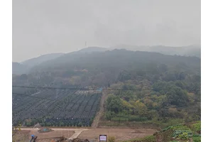 大渡口区金鳌山陵园的游览